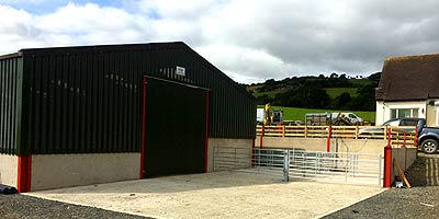 ALW Contracts supplies sheep sheds with bespoke handing systems.