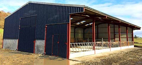 CATTLE HOUSING